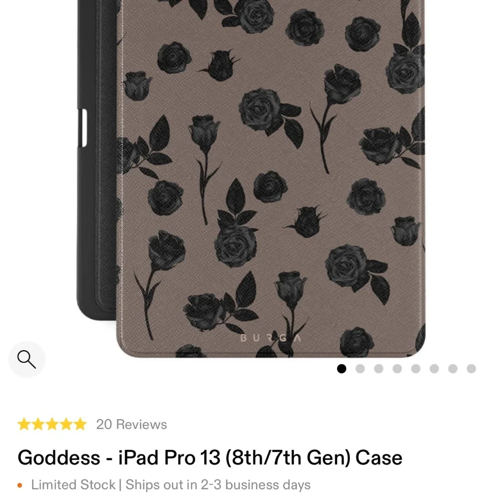 iPad Case 13